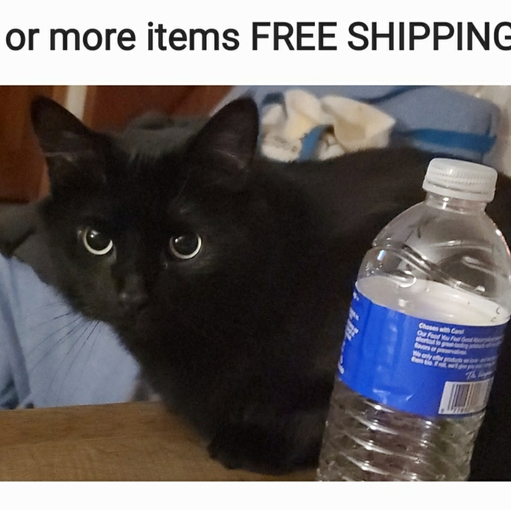 4 or more items FREE SHIPPING!